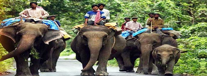 1849/Sun City - Lataguri 09.jpg